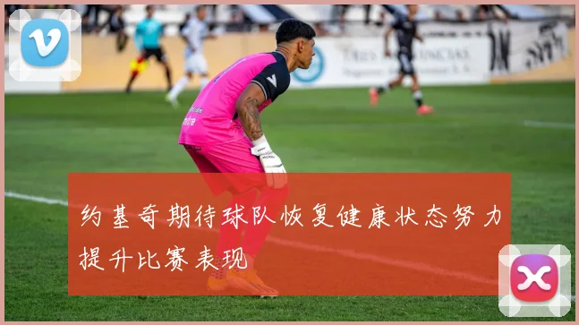 约基奇期待球队恢复健康状态努力提升比赛表现