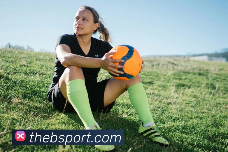 B体育APP 封面图